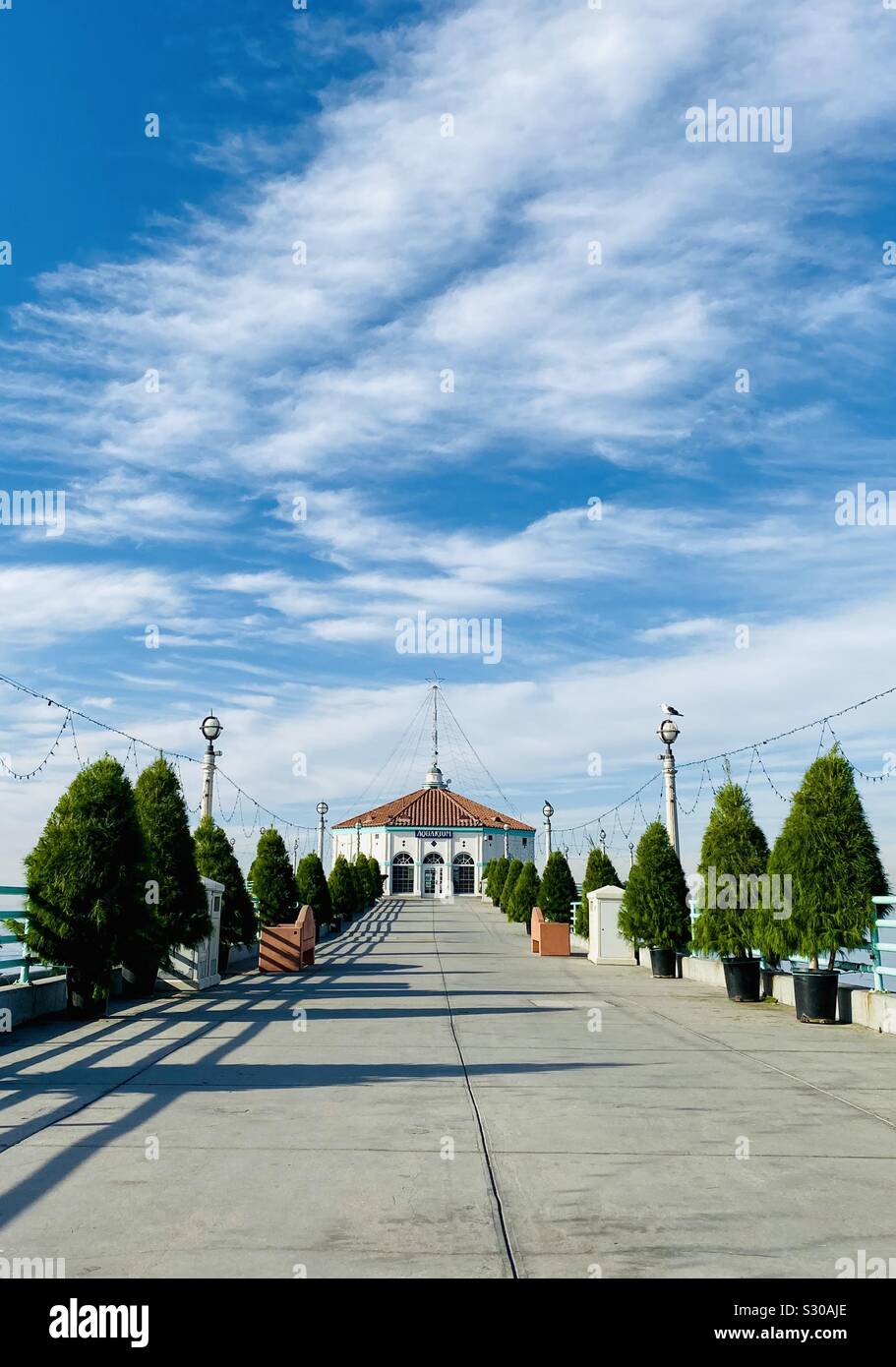 Les arbres de Noël la ligne Manhattan Beach Pier. Manhattan Beach, Californie, USA. - Image de stock capturée avec un smartphone