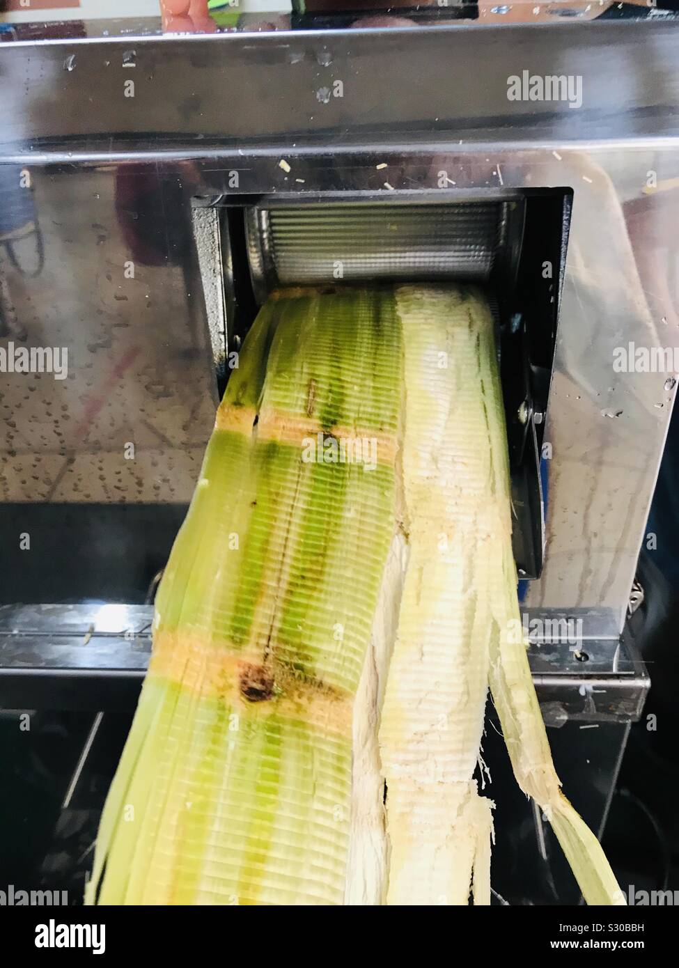 Extracteur de jus de canne à sucre de la machine en étal de fruits de  Singapour Photo Stock - Alamy
