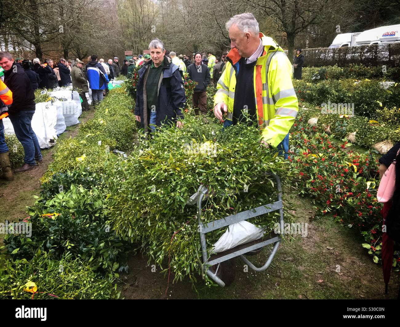 Une charge de l'acheteur avec son chariot à l'assemblée annuelle de gui gui et houx de Noël enchère à Tenbury Wells UK Worcestershire. Banque D'Images