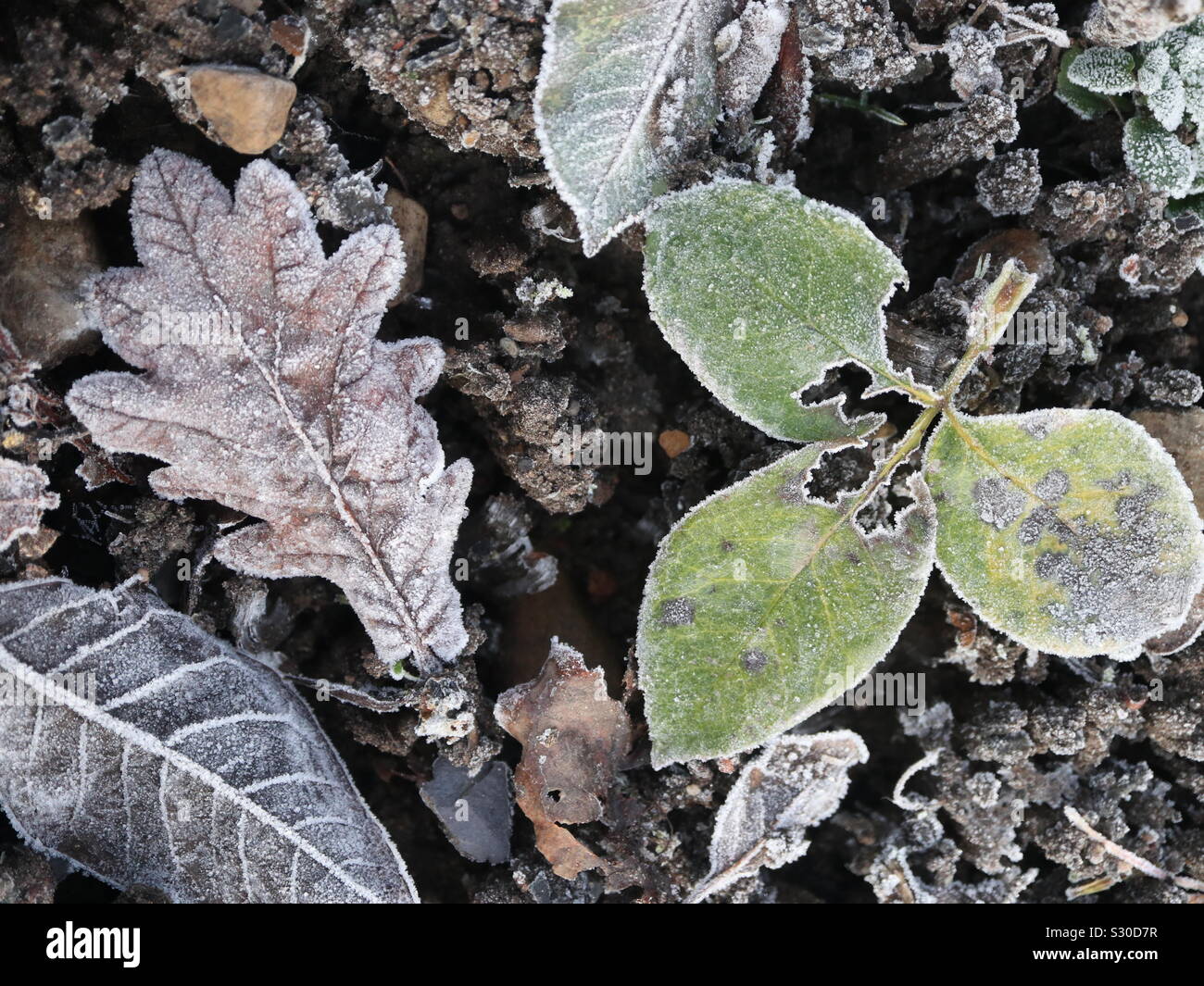 Figé dans le temps Banque D'Images