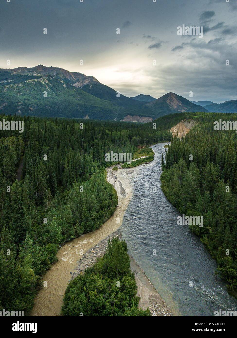 Une rivière traverse le parc national Denali en Alaska Banque D'Images