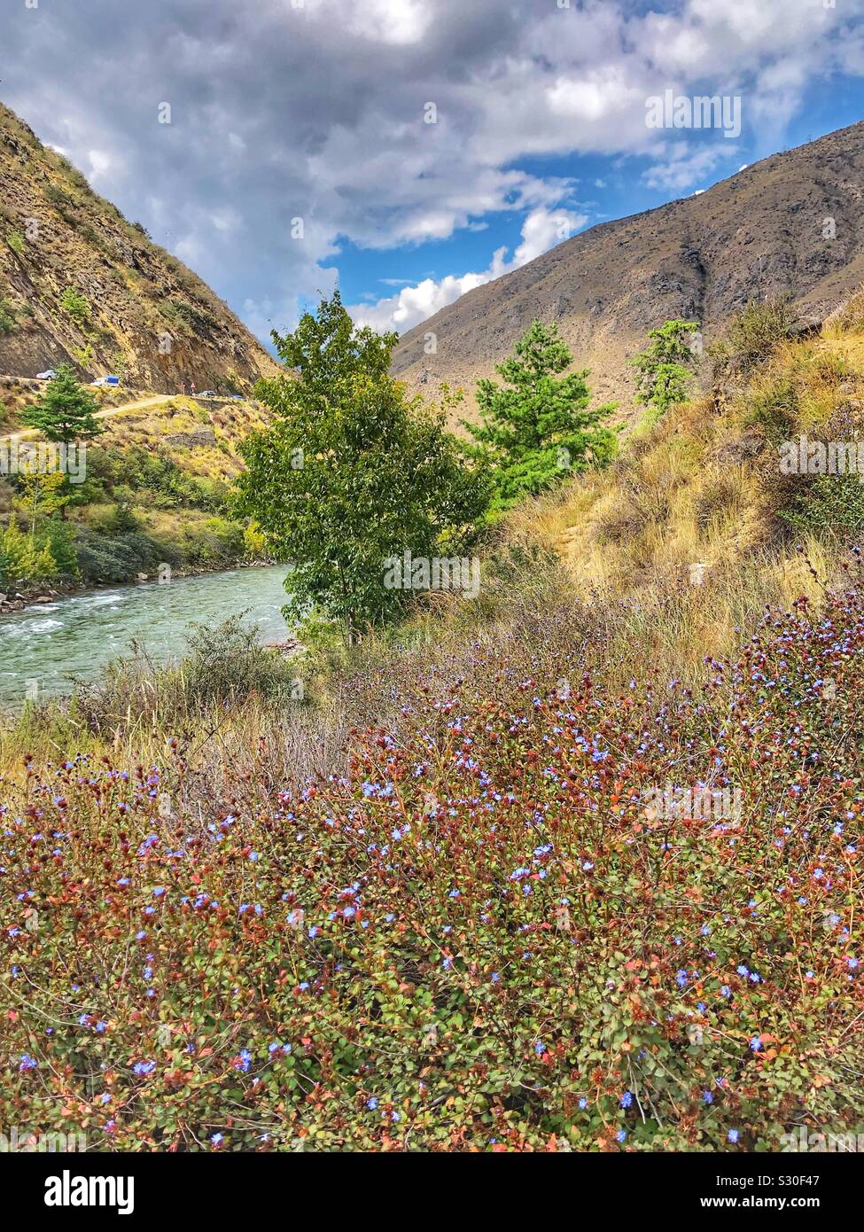 Paysage pittoresque au Bhoutan. Banque D'Images