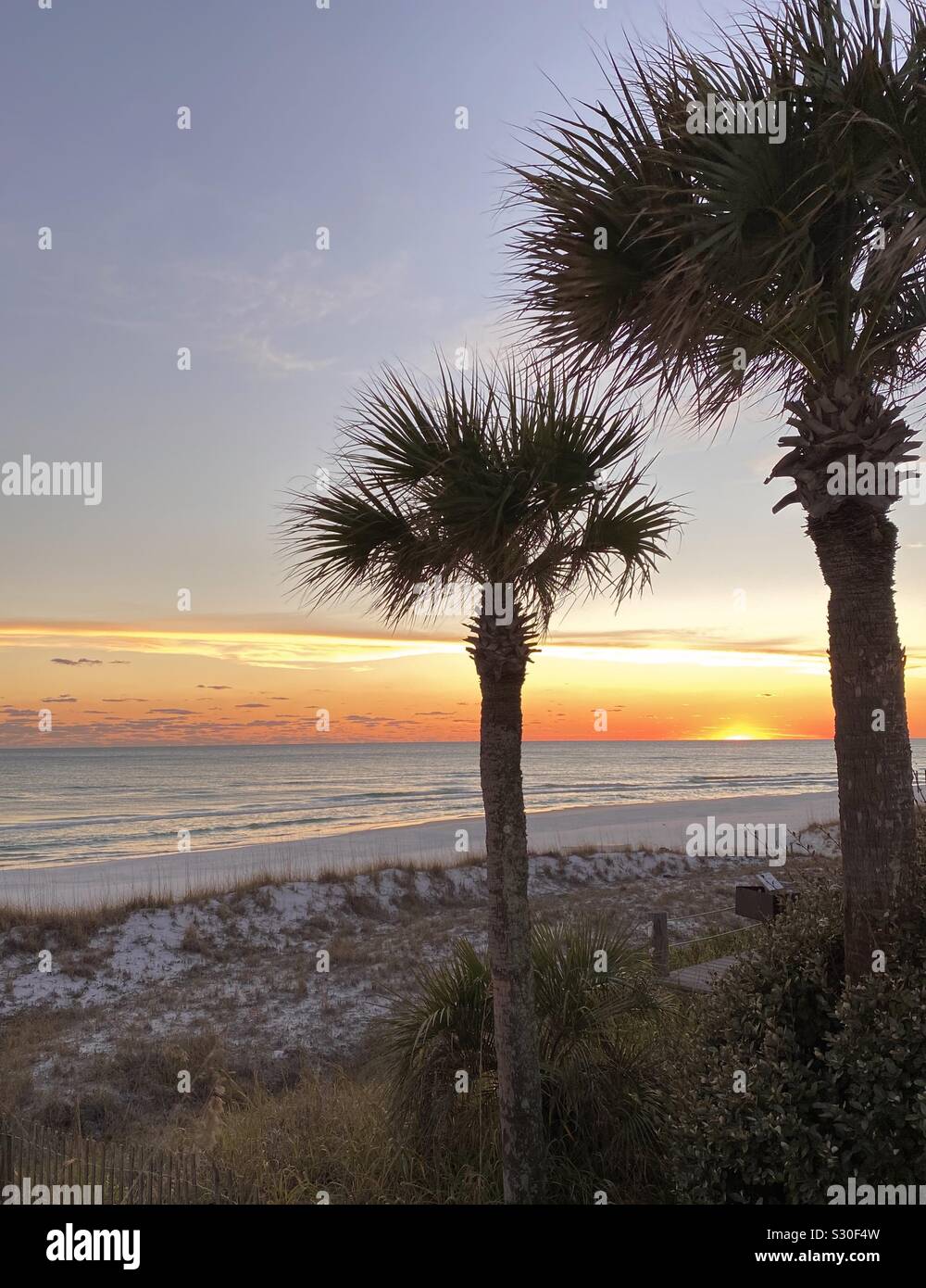 Coucher du soleil sur la plage avec de grands pins dans Destin, Floride Banque D'Images
