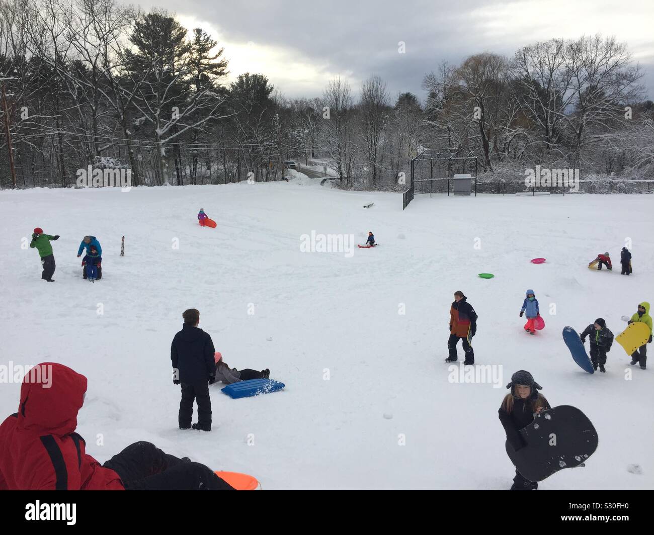 La luge sur une colline enneigée à Sudbury, Massachusetts le 3 décembre 2019. Banque D'Images