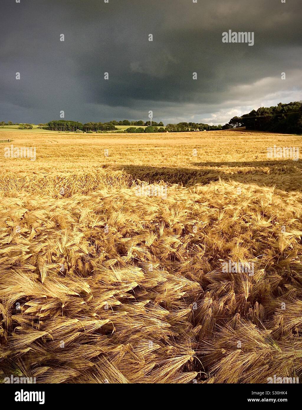 Approche de l'orage sur les terres agricoles du centre de la France. Banque D'Images