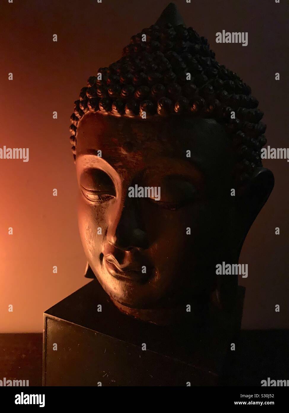 Buste de Bouddha en lumière douce Banque D'Images