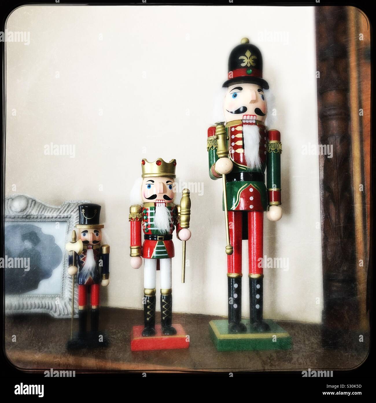 Cassenoix d’Amérique - Image de stock capturée avec un smartphone