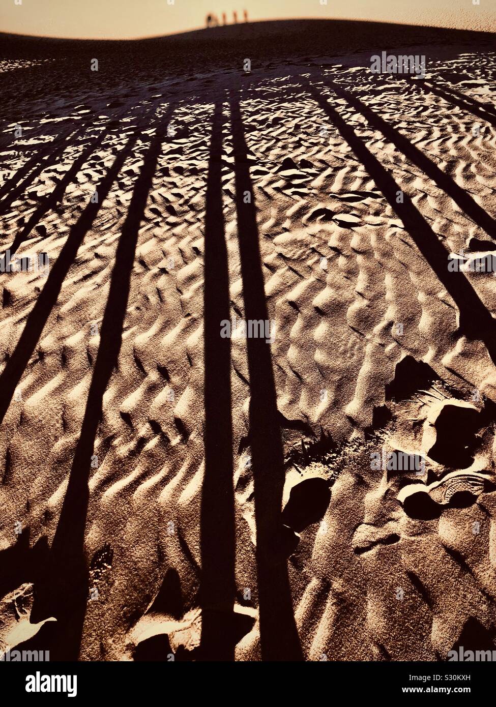 Les dunes de sable de Tottori - Image de stock capturée avec un smartphone