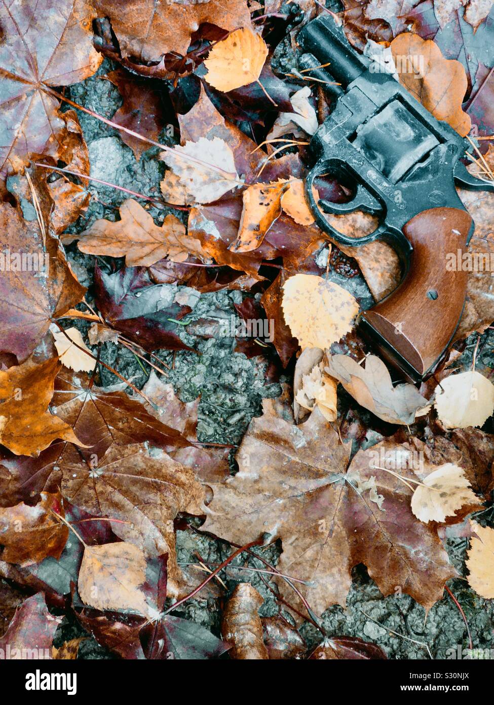 Abandonné des armes à feu jeté jeté parmi les feuilles d'automne - Image de stock capturée avec un smartphone