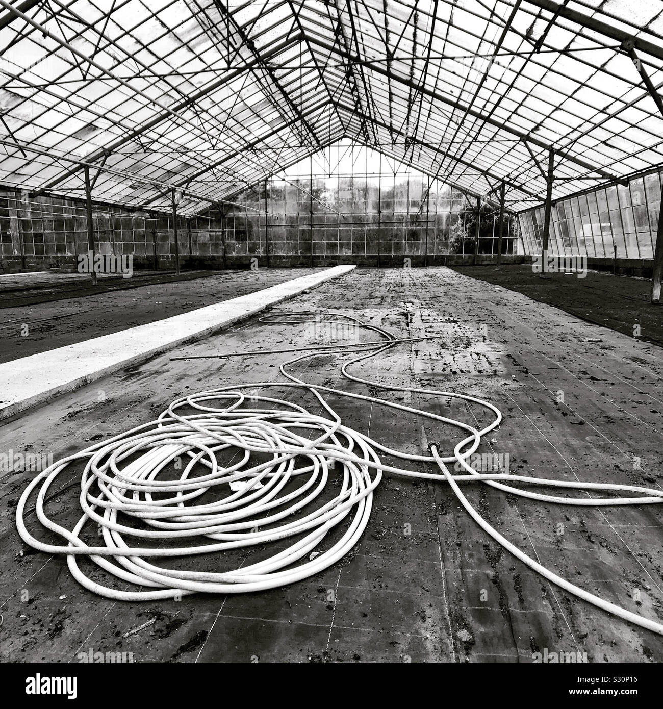 Ne pas jeter des pierres dans les serres - Image de stock capturée avec un smartphone