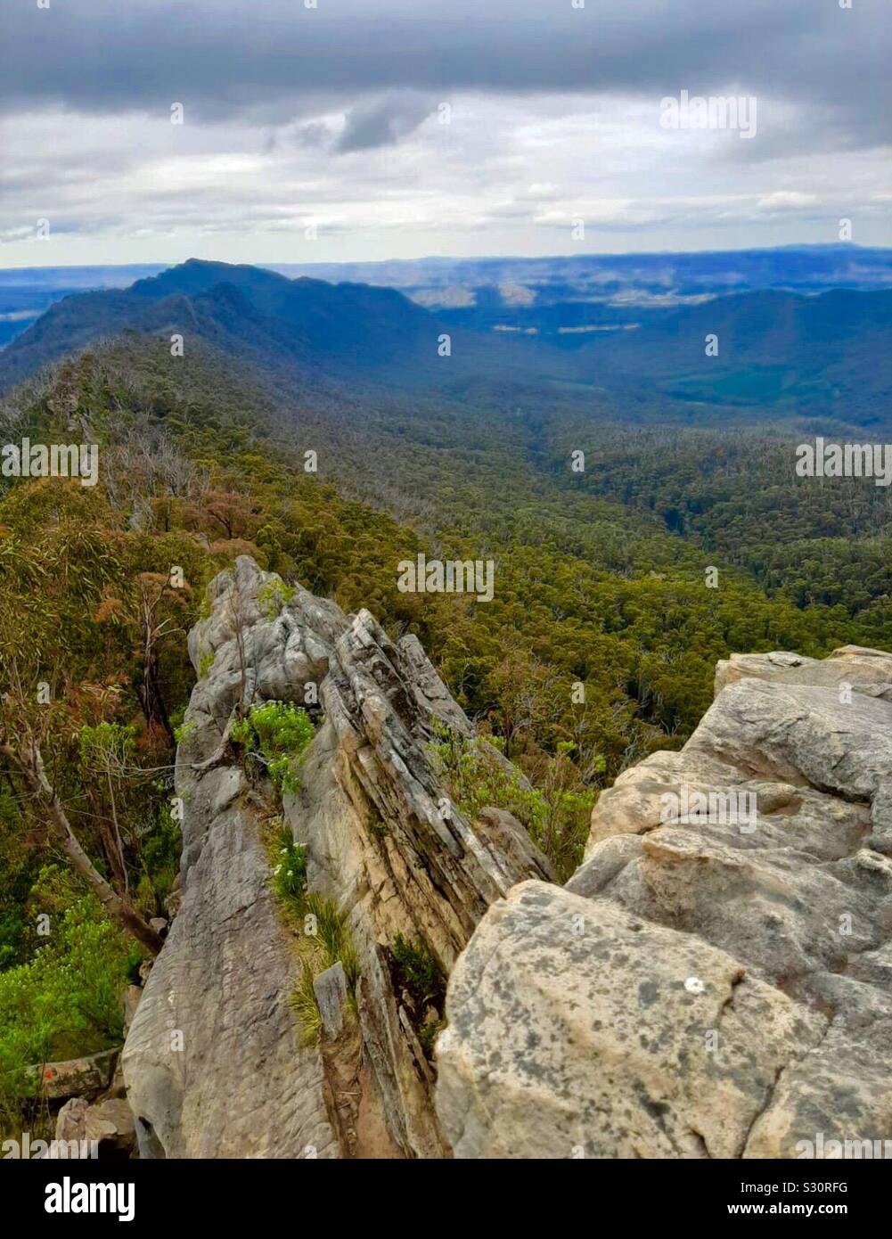 Les plages de la cathédrale, l'établissement Sugarloaf et Razorback, Victoria, Australie Banque D'Images