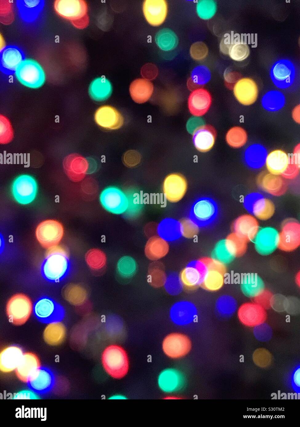 Seau en bois sur un arbre - Image de stock capturée avec un smartphone