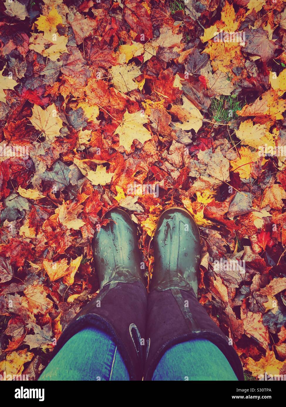Point de vue Point de vue image de personne regardant Wet bottes en caoutchouc dans les feuilles d'automne humide Banque D'Images