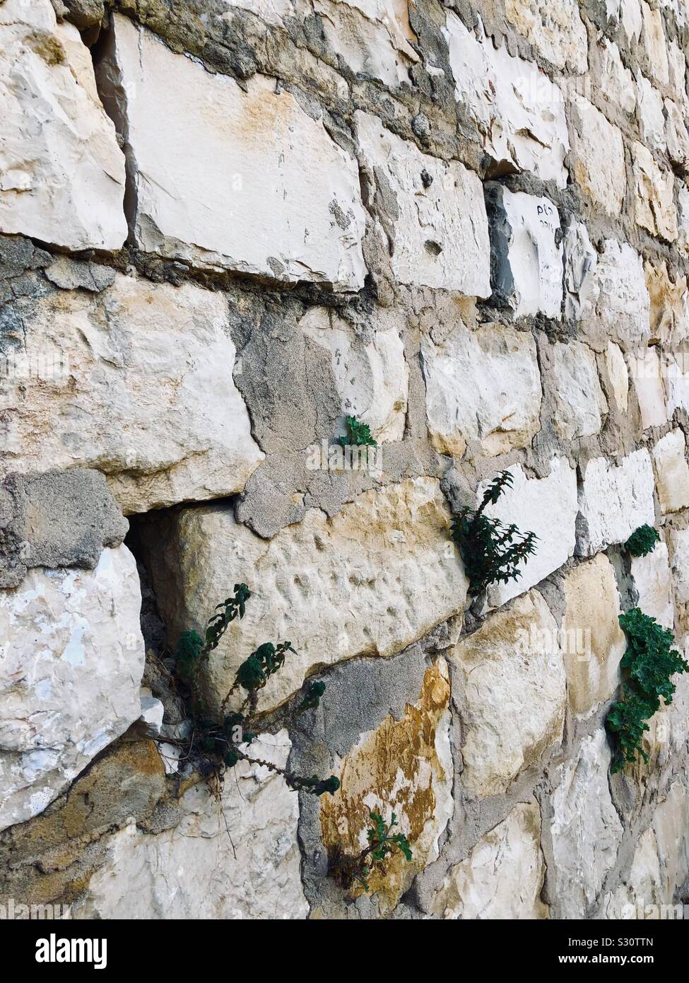 Mur en pierre dans la vieille ville de Tzfat, Israël Banque D'Images