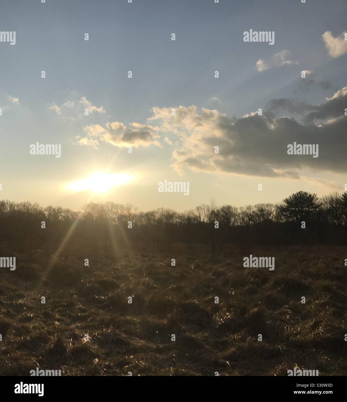 Coucher du soleil à Rancocas State Park à New Jersey. Il semble que le soleil est de faire une croix dans le ciel. Banque D'Images