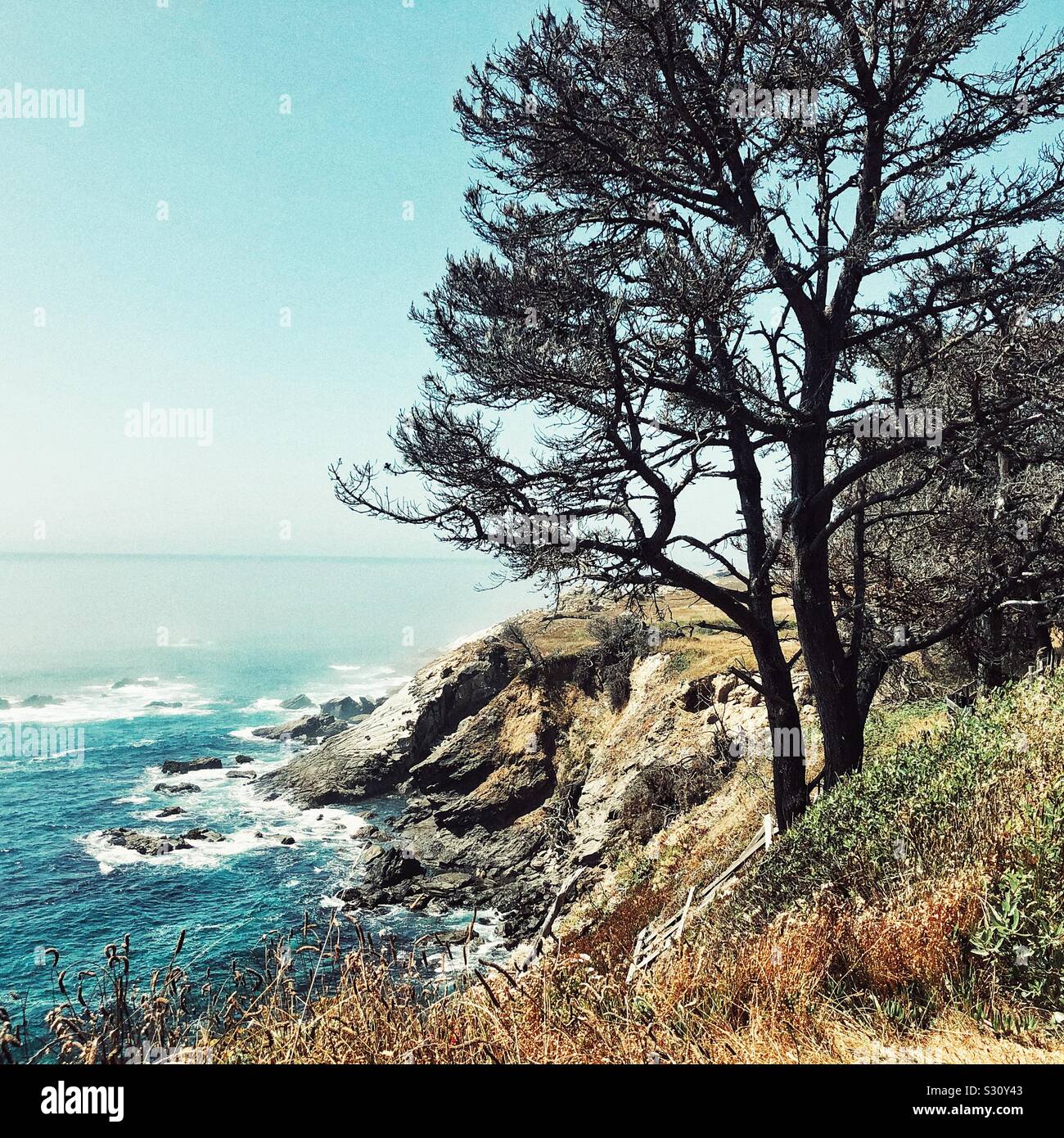 Côte nord de la Californie en été - Image de stock capturée avec un smartphone