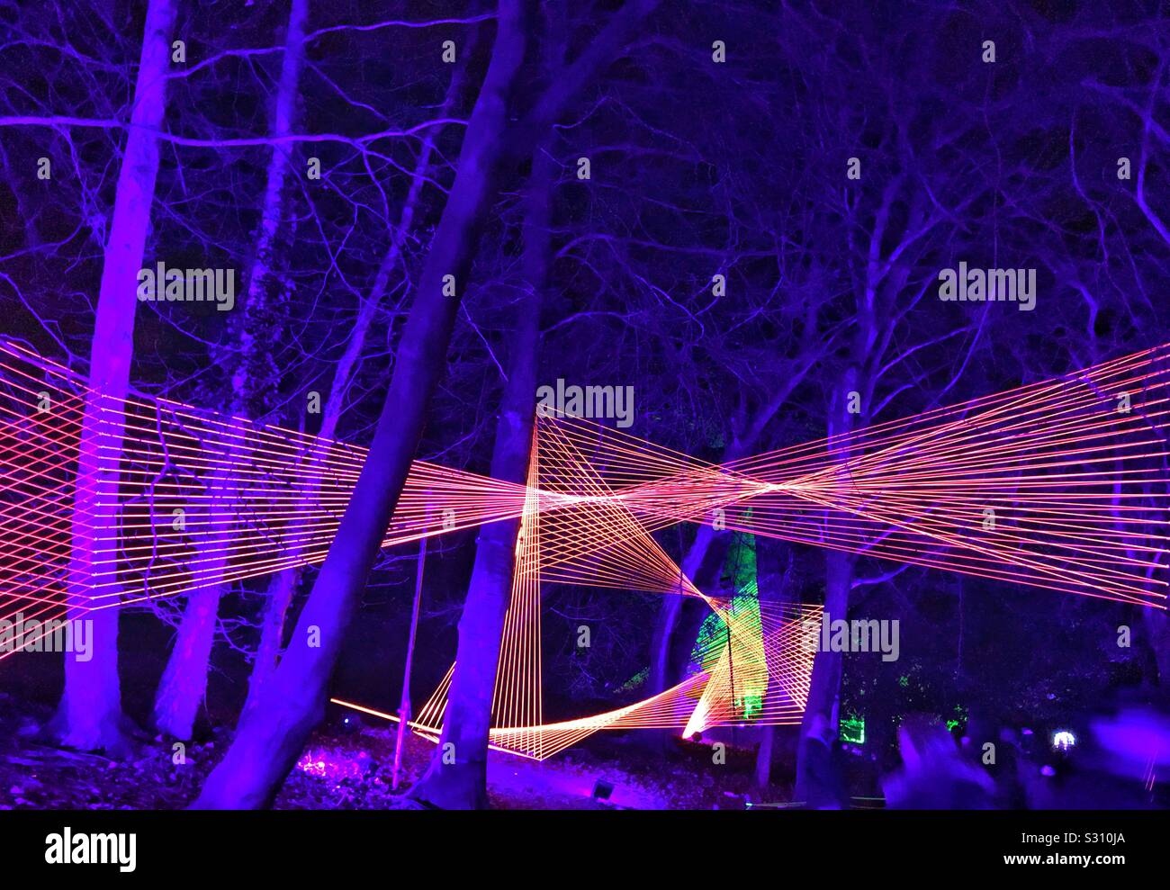 Le Palais de Blenheim Sapin Noël Light Trail 2019 - Affichage de la lumière entre les arbres Banque D'Images