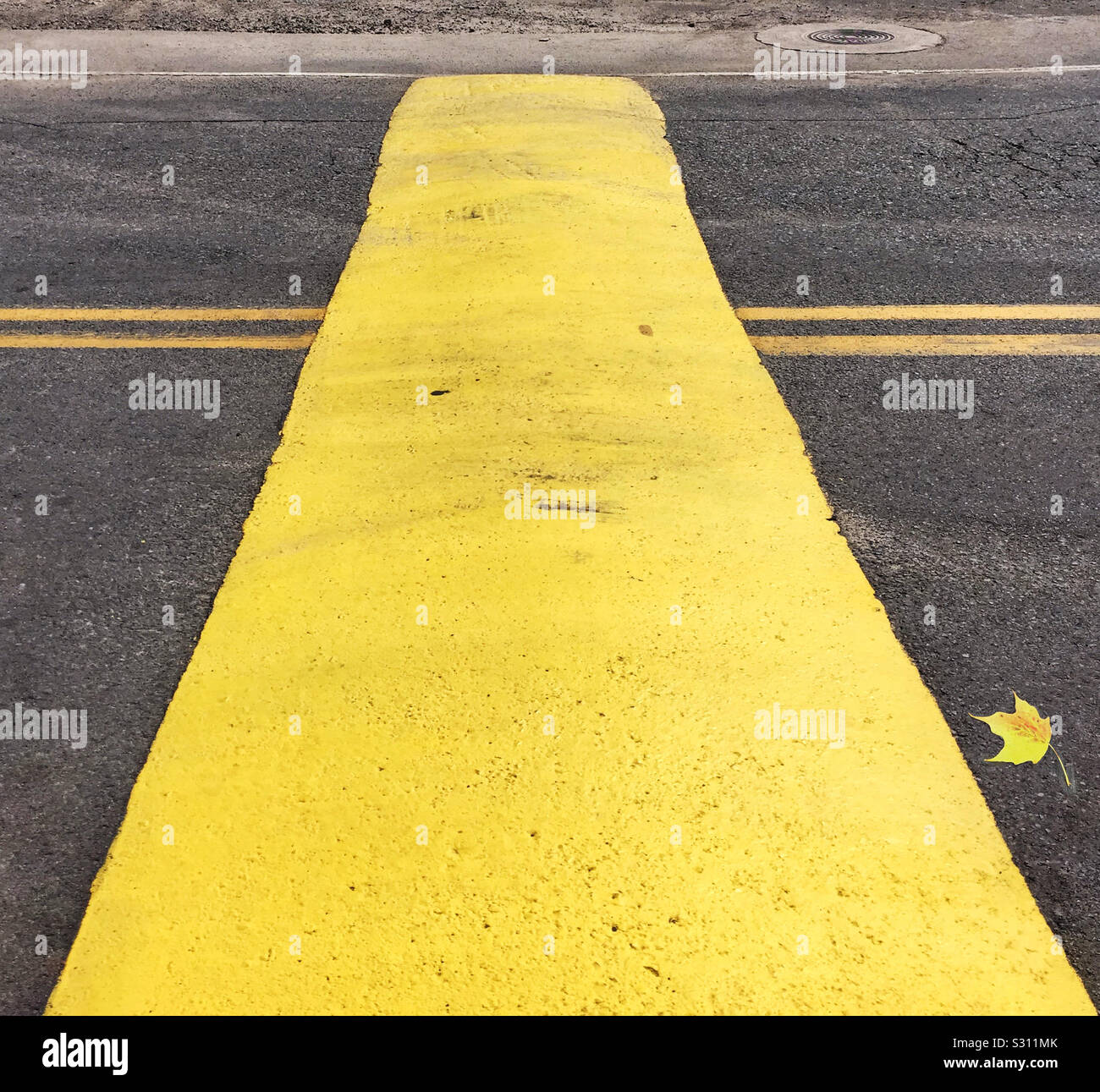 Libre d'un ralentisseur et la surface de la route avec des lignes peintes en jaune et une feuille d'automne jaune tombé - Image de stock capturée avec un smartphone