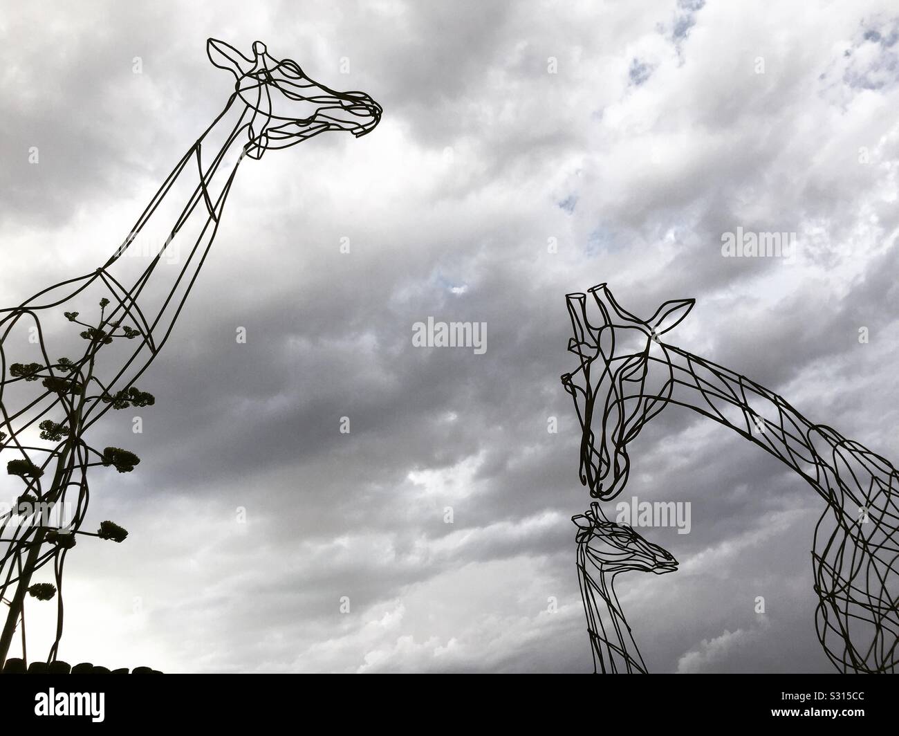 Sculptures de girafe Banque D'Images