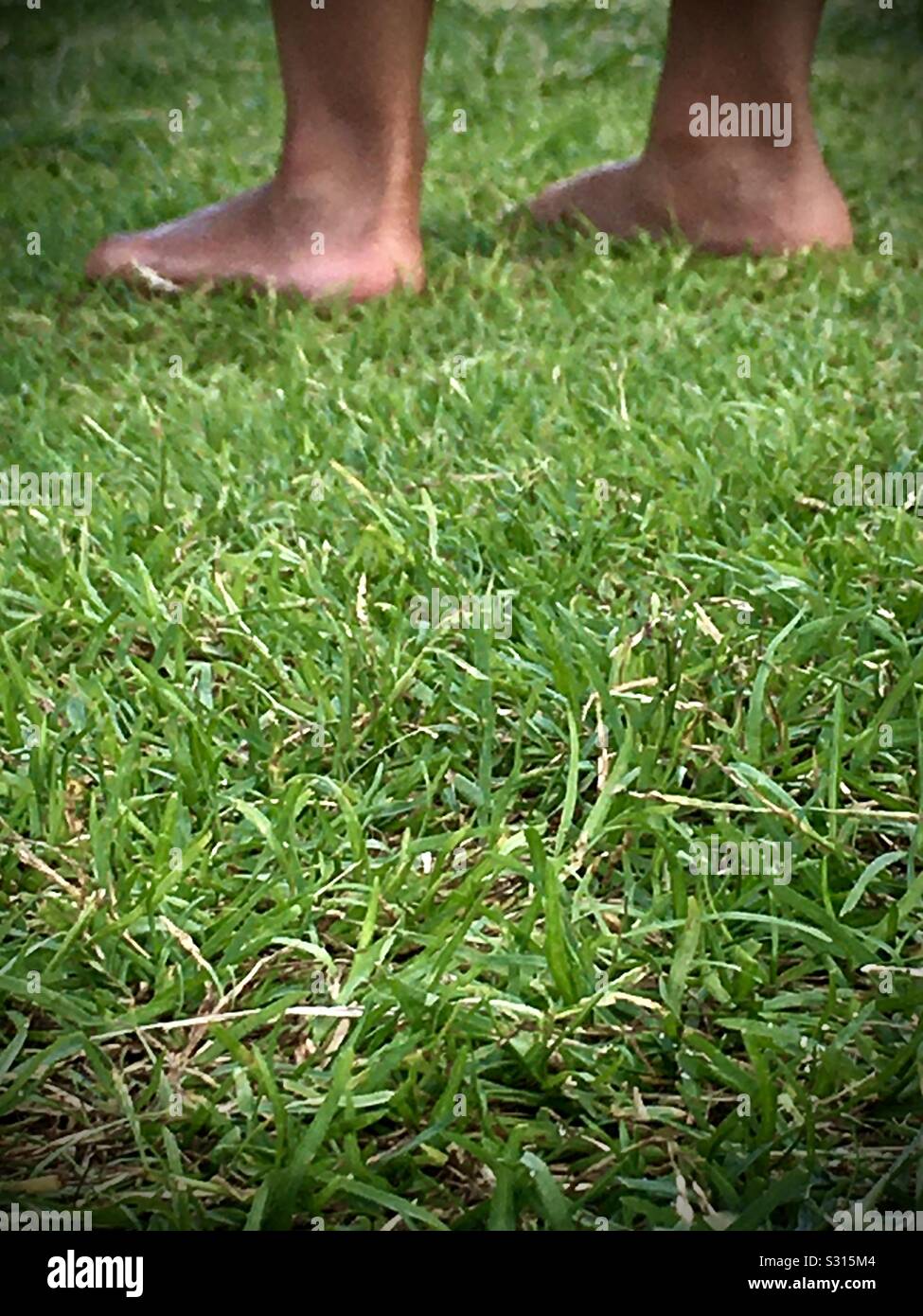 La mise à la terre sur l'herbe Banque D'Images