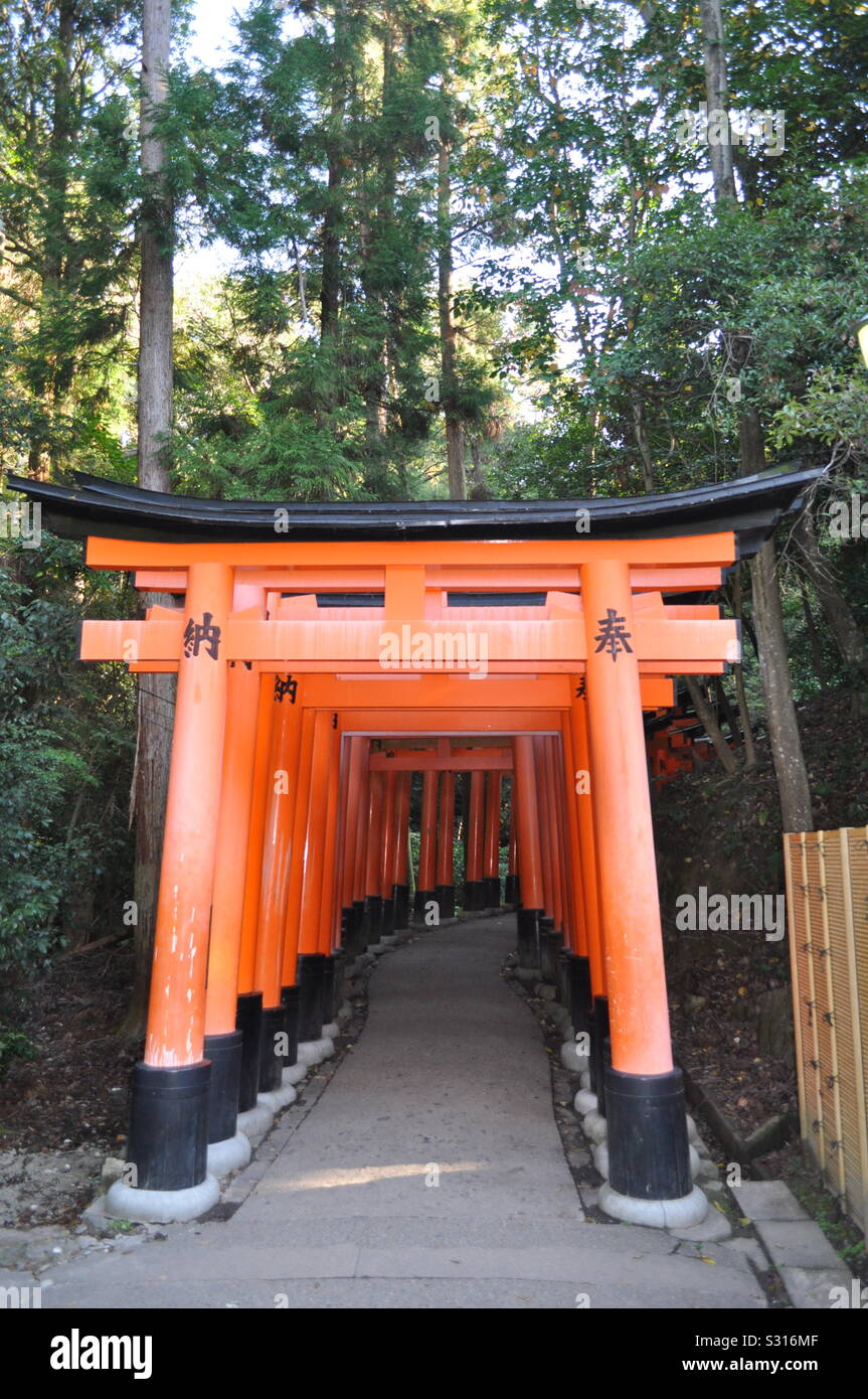 Sanctuaire Fushimi Inari, Kyoto au Japon Banque D'Images