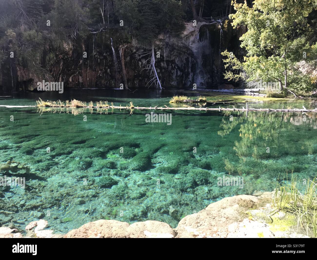 Scène étonnante à Hanging Lake dans la région de Glenwood Canyon, Colorado. Banque D'Images