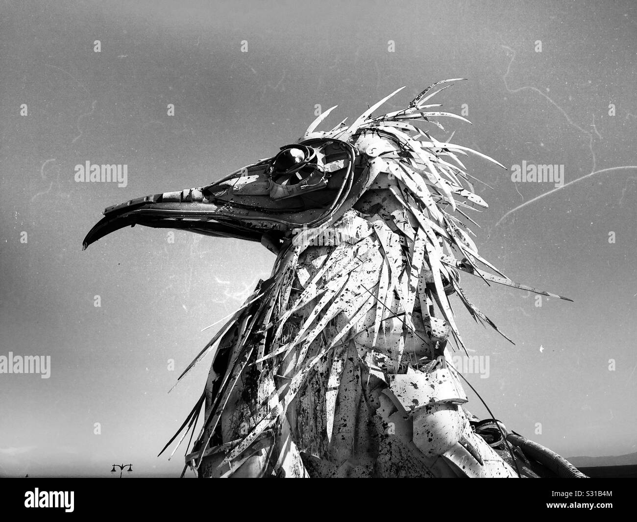 Vautour fou fabriqué à partir de déchets de sculpture - Image de stock capturée avec un smartphone