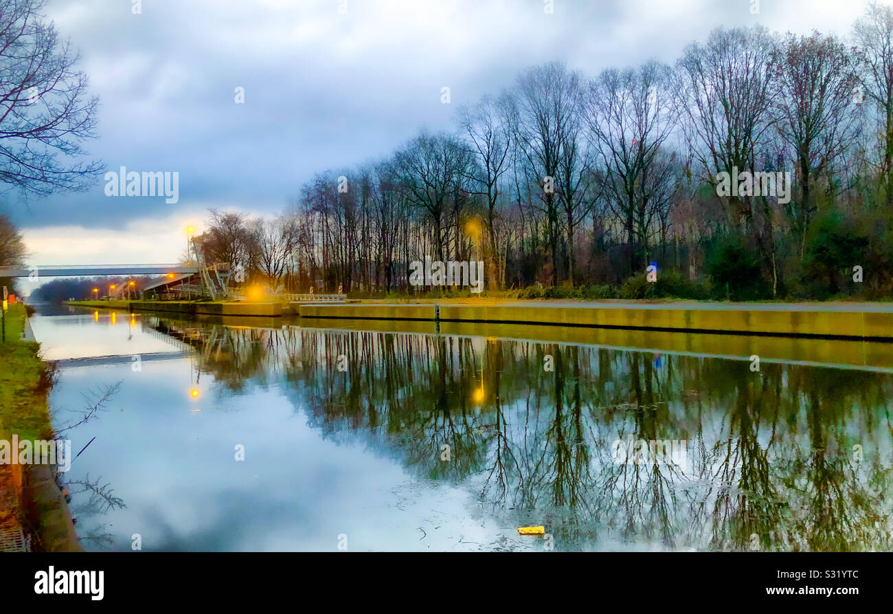 Matin gris sur le canal et la forêt Banque D'Images