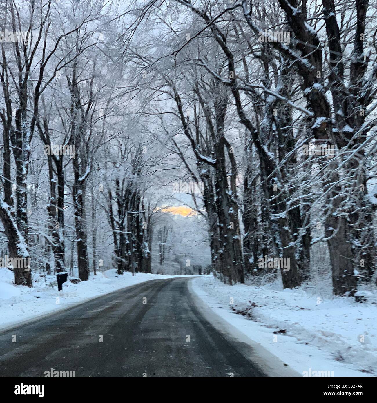 Hiver sur une route de campagne au Massachusetts, États-Unis - Image de stock capturée avec un smartphone