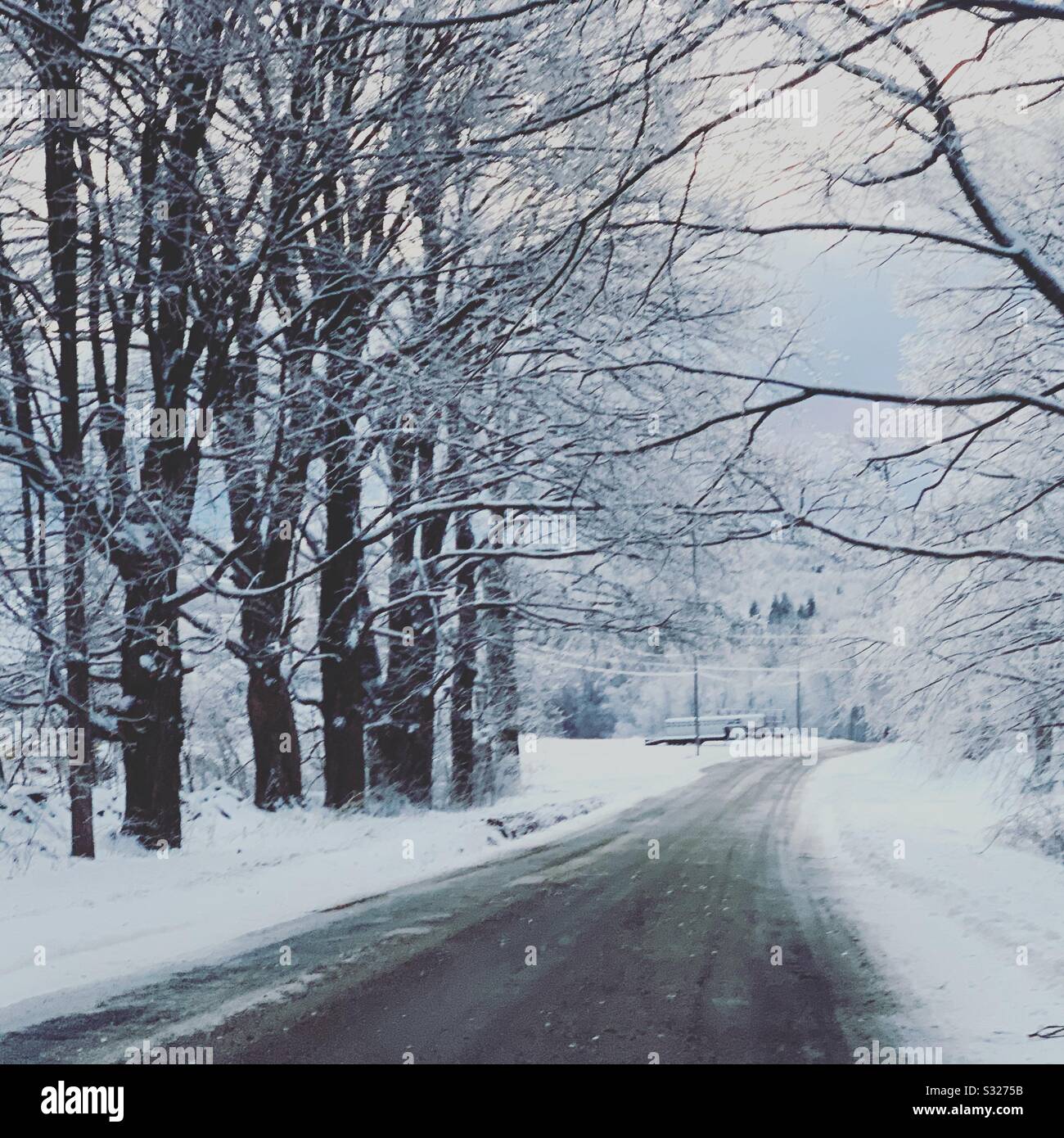 Une route rurale en hiver, Massachusetts, États-Unis - Image de stock capturée avec un smartphone