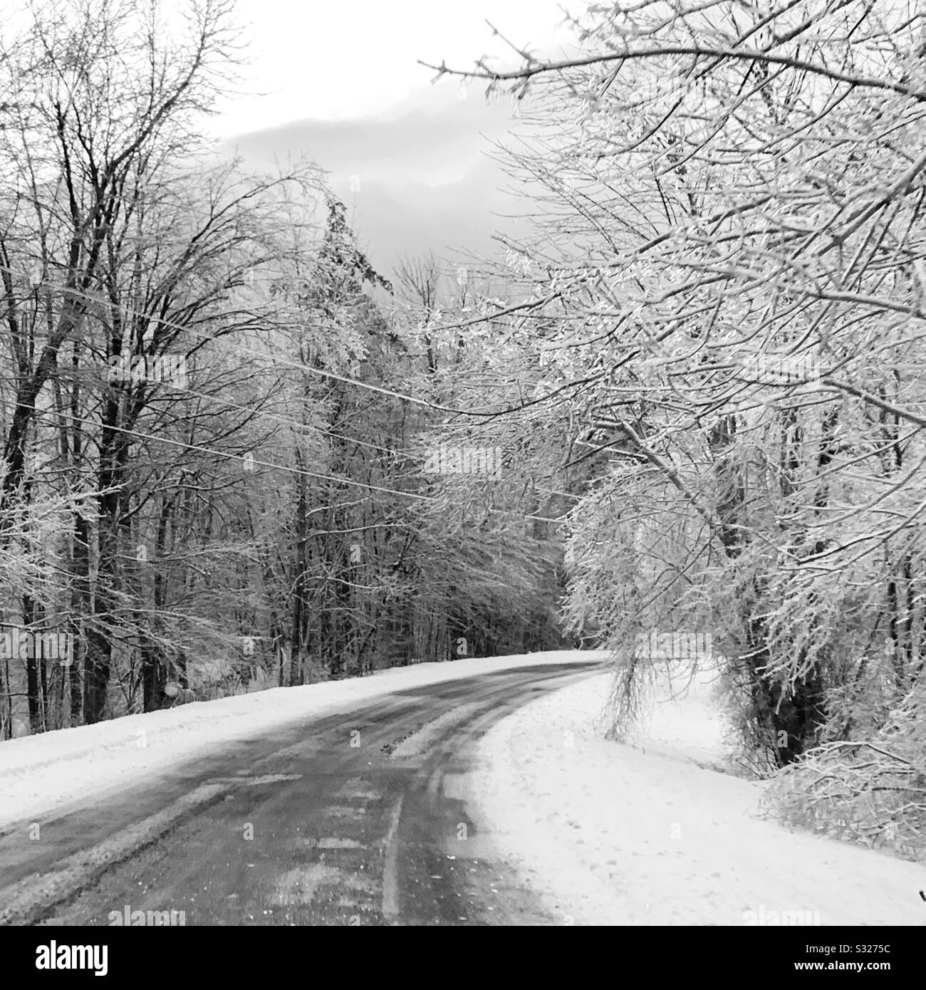 Une route rurale en hiver, Massachusetts, États-Unis - Image de stock capturée avec un smartphone