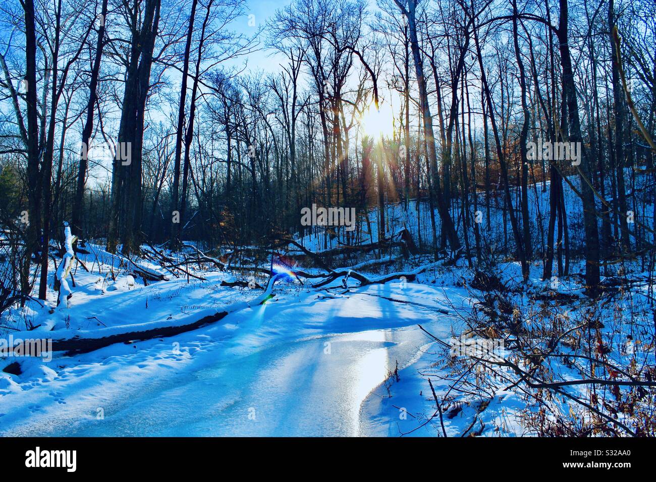 Froid de l’hiver Banque D'Images