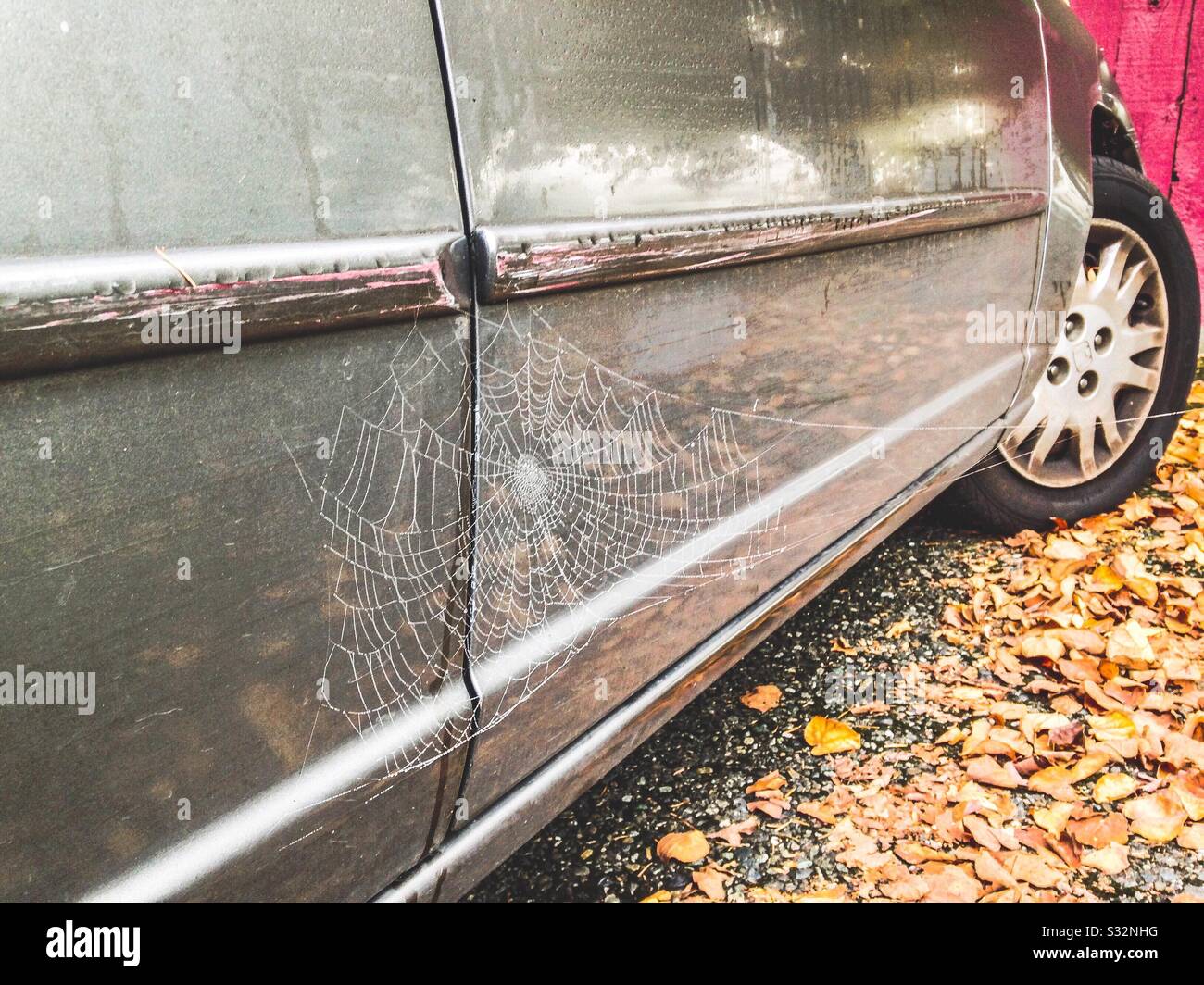 Stationnement à long terme - le Web de l'araignée et les réflexions des feuilles sur le côté d'une voiture en automne photo Banque D'Images