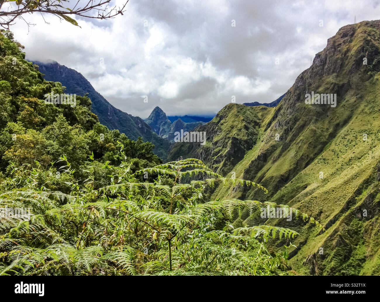 Vue à travers la jungle de forêt de nuages vers les montagnes Machu Picchu, Pérou, Amérique du Sud Banque D'Images