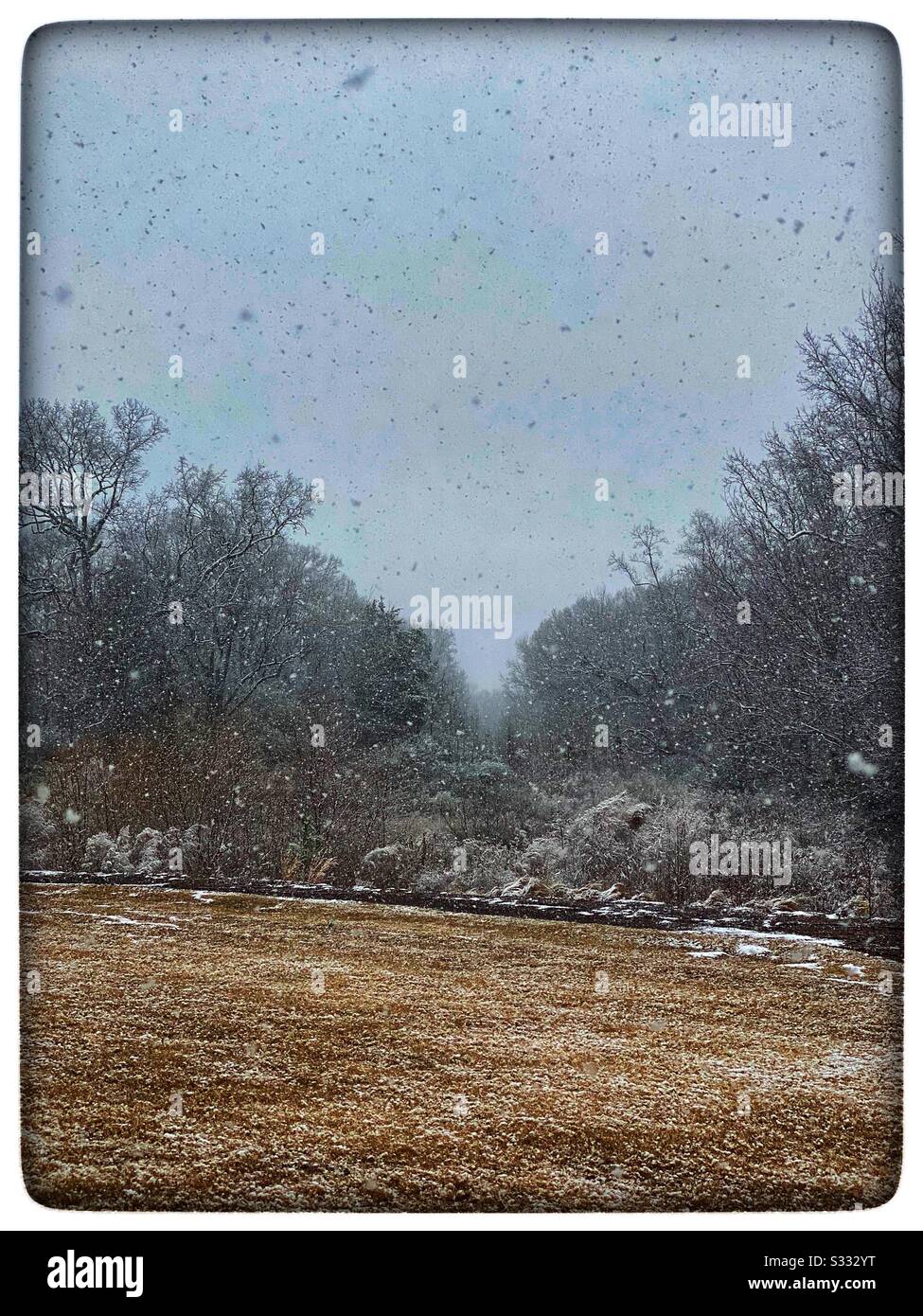 Il neige en Caroline du Sud Banque D'Images