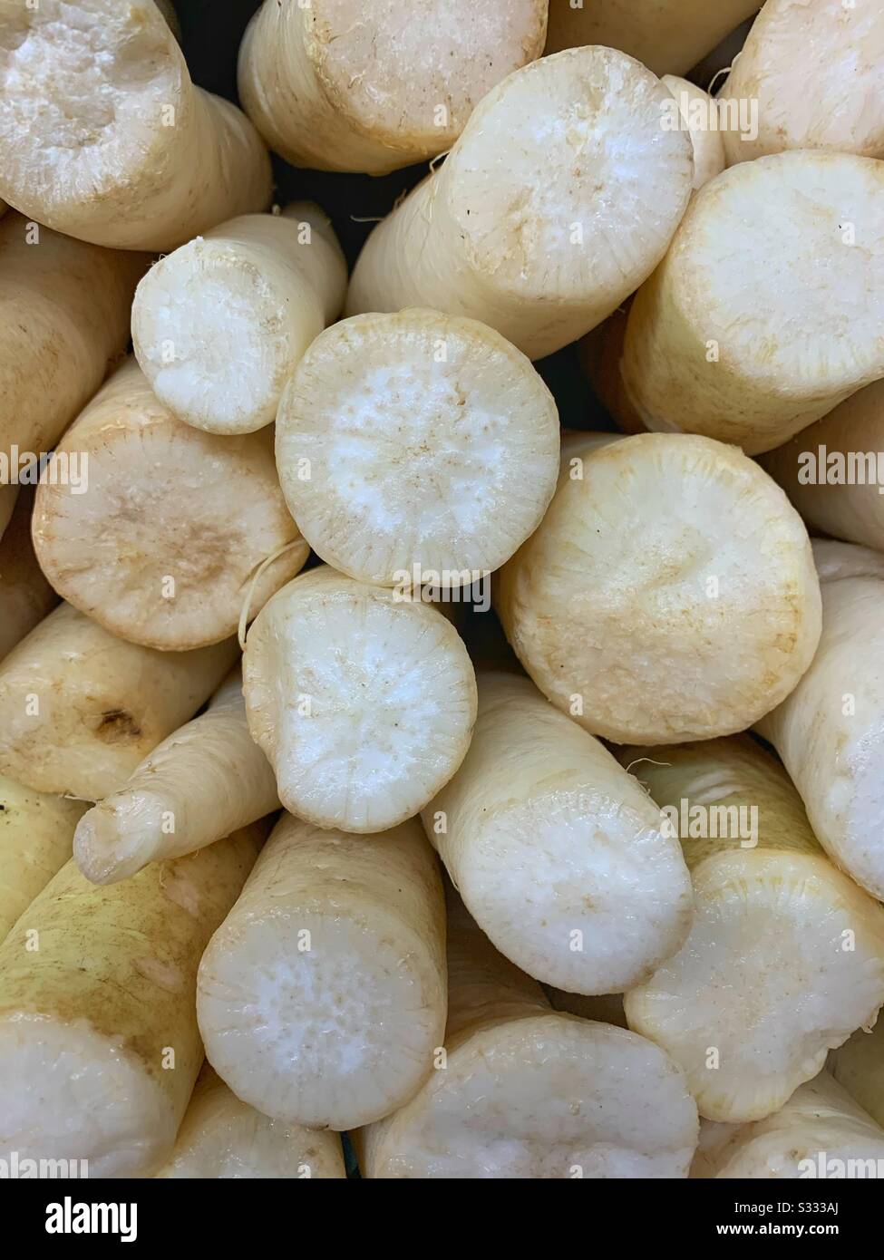 Daikon, raifort japonais, raifort blanc, raifort d'hiver, raifort oriental, long raifort blanc, mooli, empilé dans un tas Banque D'Images