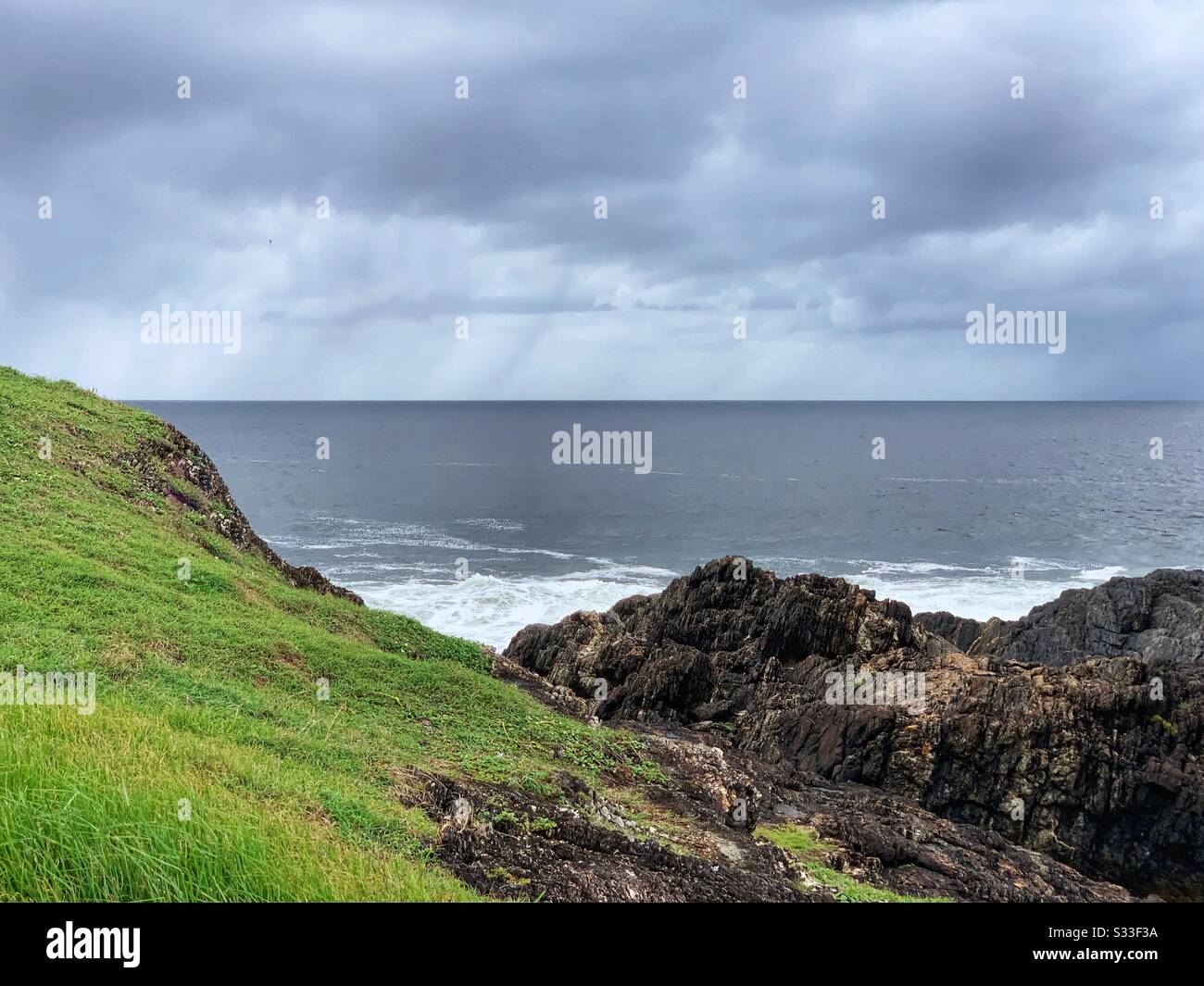 Pluie en mer. Vue de bout de champ, herbe verte Banque D'Images