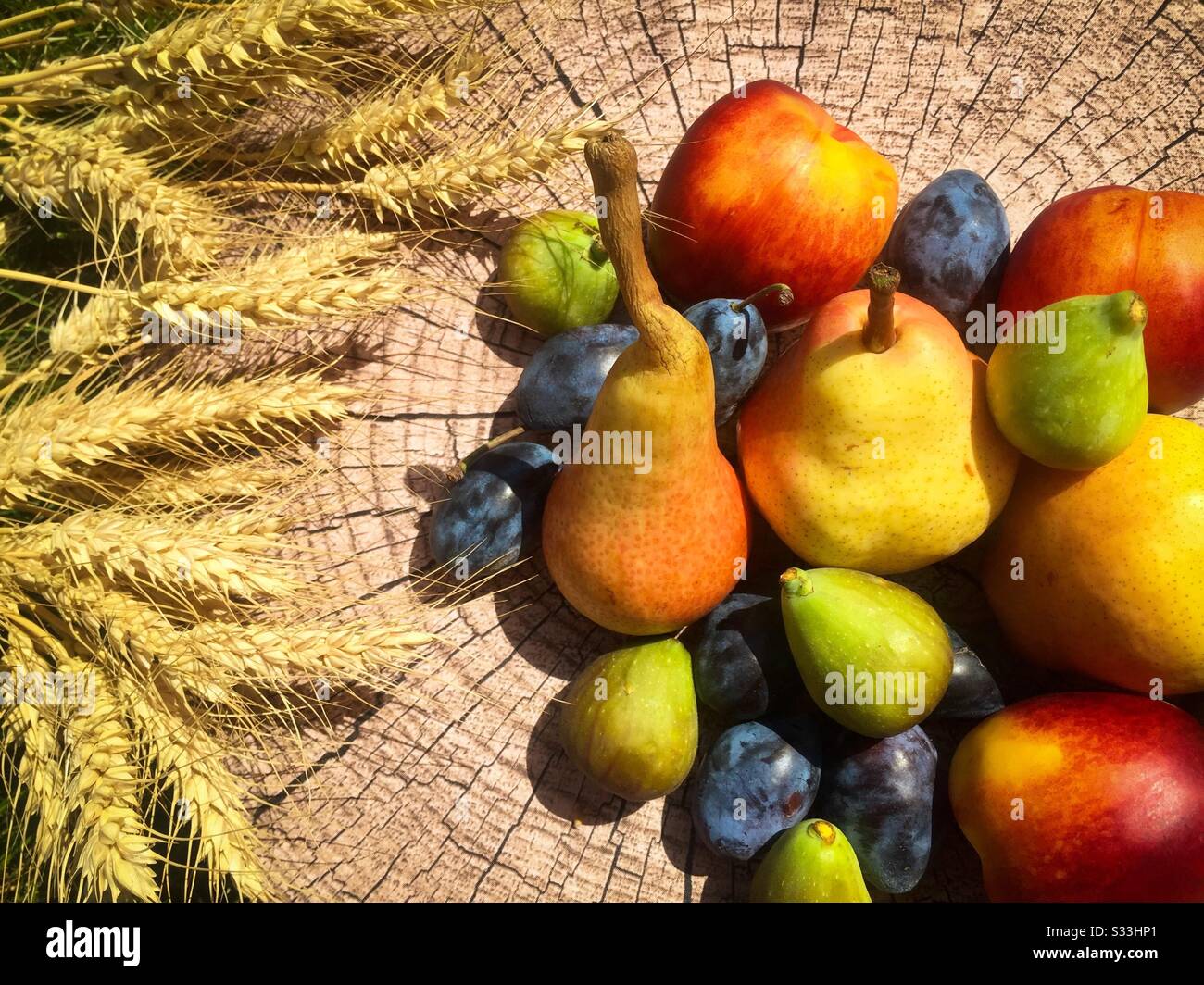 Le blé et les fruits d'automne tels que les pommes, les poires, les prunes, les figues, les pêches, placés sur un journal Banque D'Images