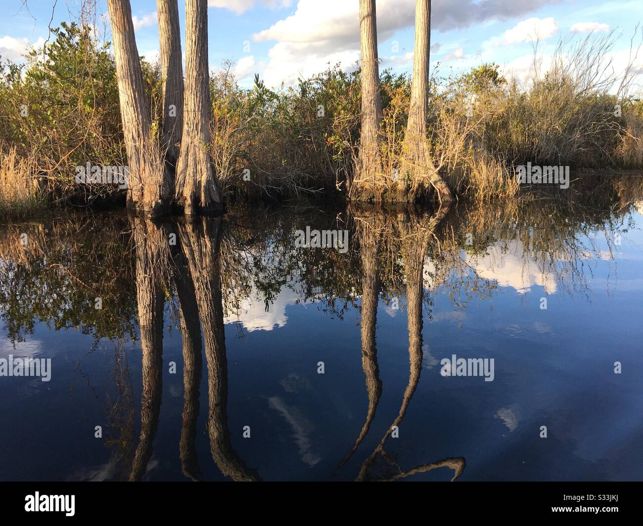 Arbres reflétés dans l'eau à la réserve naturelle nationale d'Okefenokee dans le sud de la Géorgie. Banque D'Images