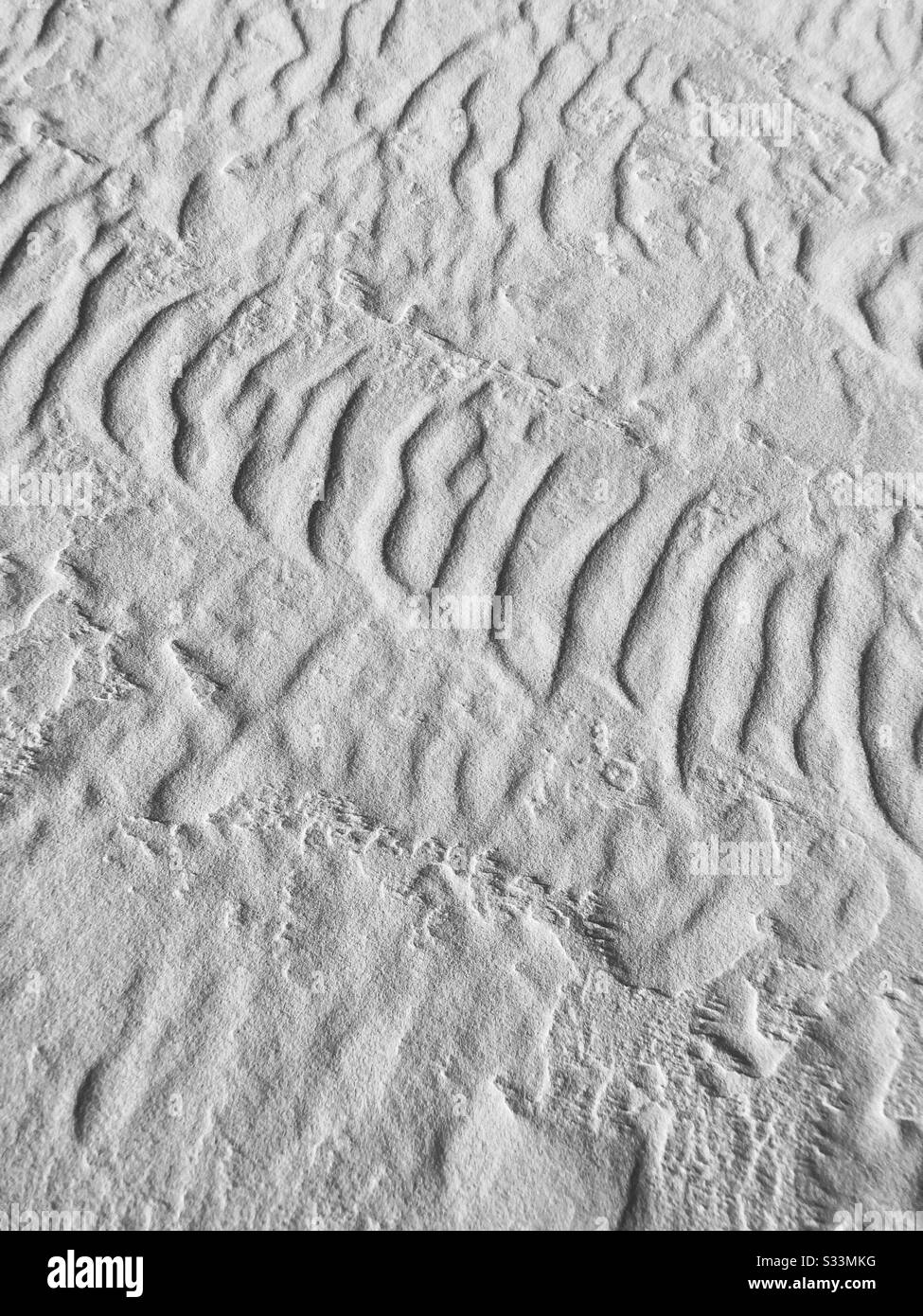 Motifs de sable sur une plage en Floride, États-Unis. Banque D'Images