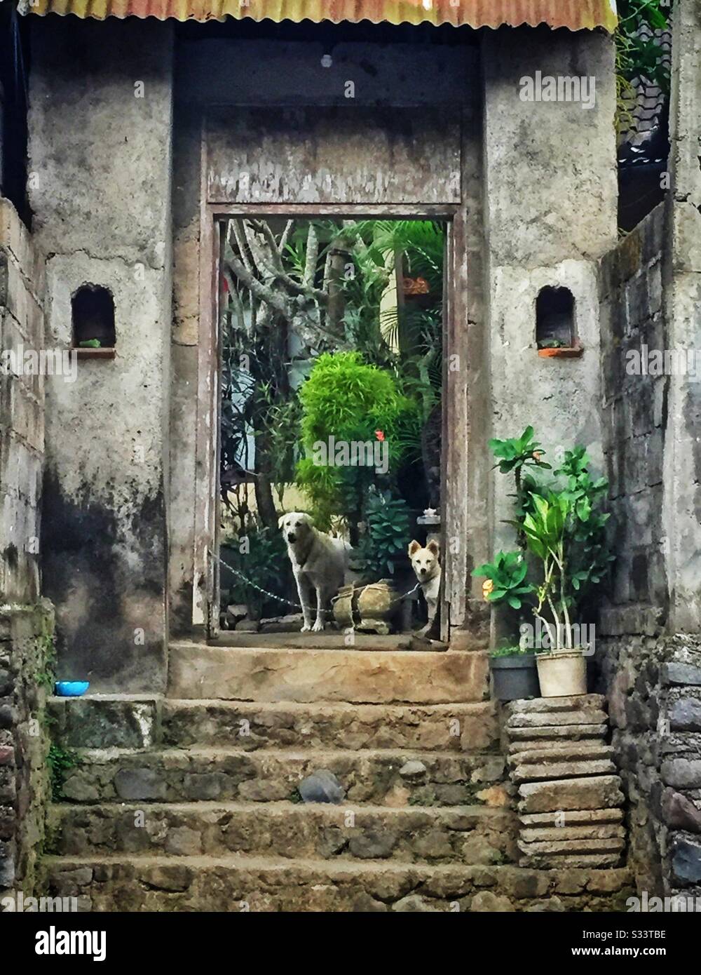 Entrée à un immeuble résidentiel, Candidasa, Bali, Indonésie Banque D'Images