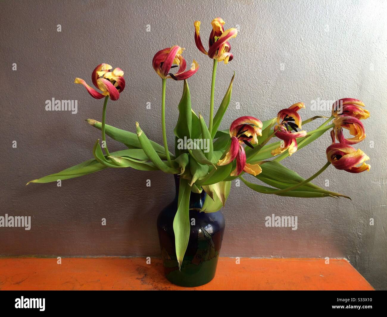 Un bouquet de tulipes sèches dans un vase Banque D'Images
