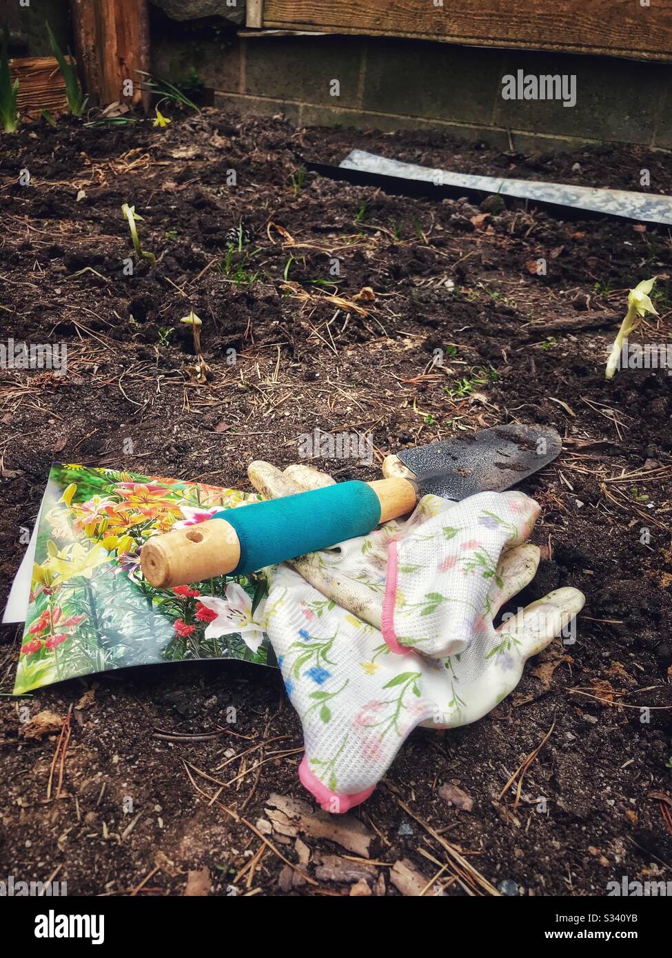 Gants de jardinage, truelle, et paquet d'ampoule dans le jardin de fleurs à côté de nouvelles pousses d'ampoule plantées - Image de stock capturée avec un smartphone