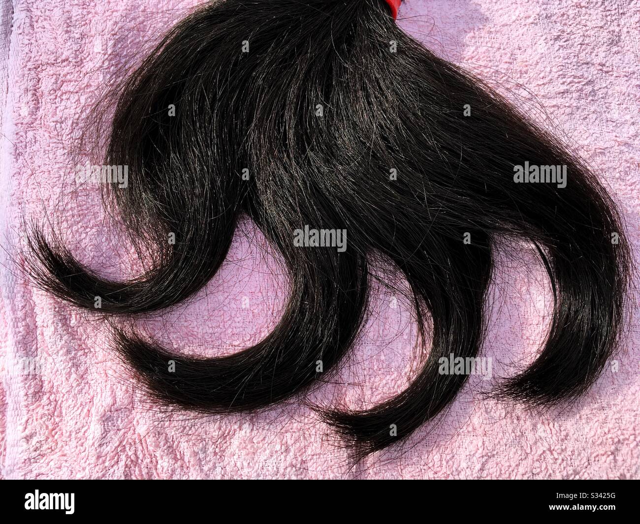 Coupe-cheveux noir naturel asiatique auto-découpés Banque D'Images