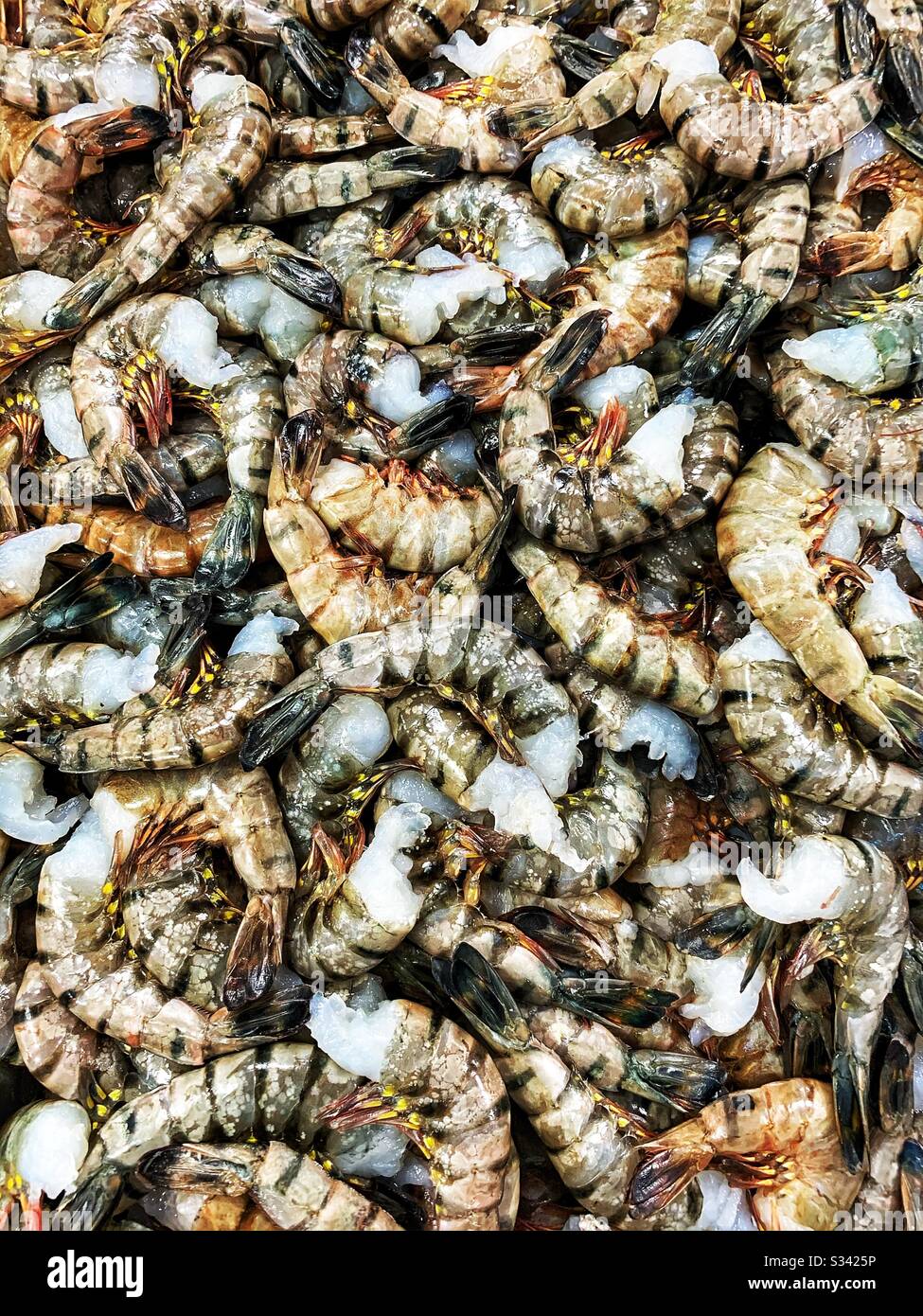 Tir plus large de crevettes tigrées brutes sans tête Banque D'Images