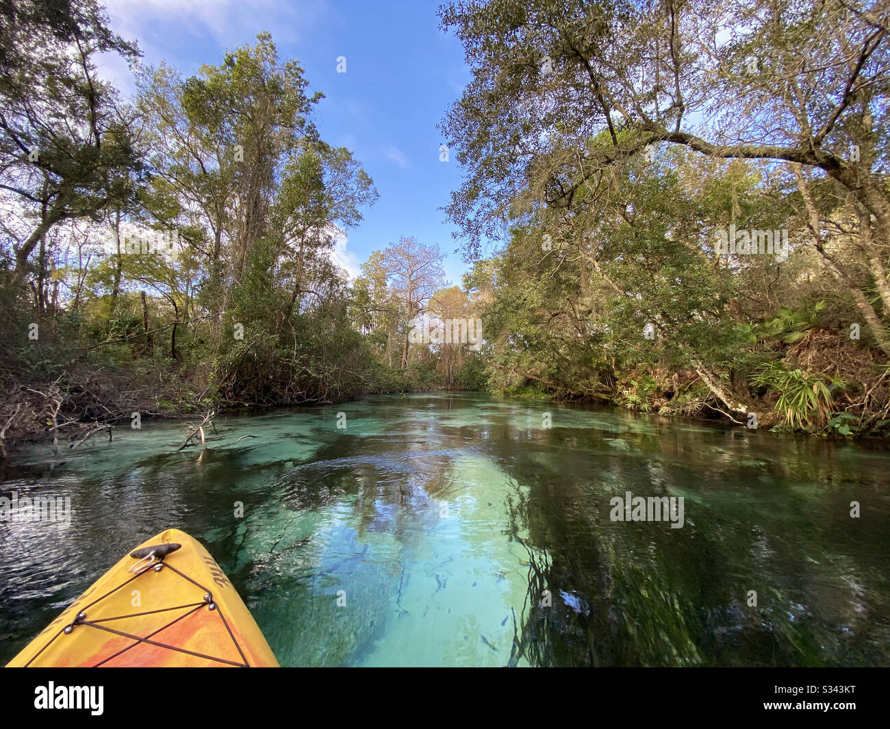 Kayak Weeki Wachee Springs State Park, Floride Banque D'Images