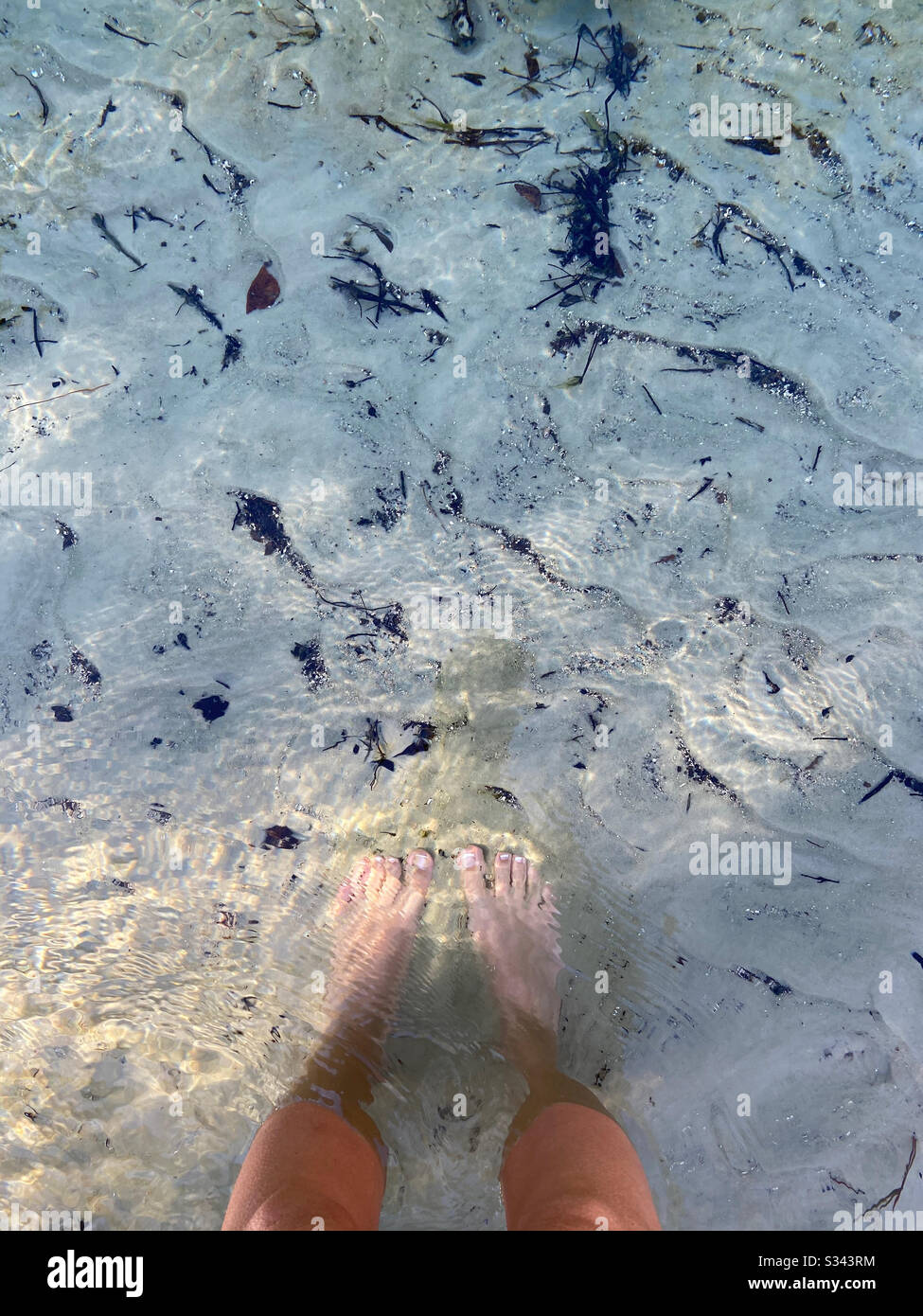 Pieds dans l'eau claire du Weeki Wachee Springs State Park, Floride Banque D'Images