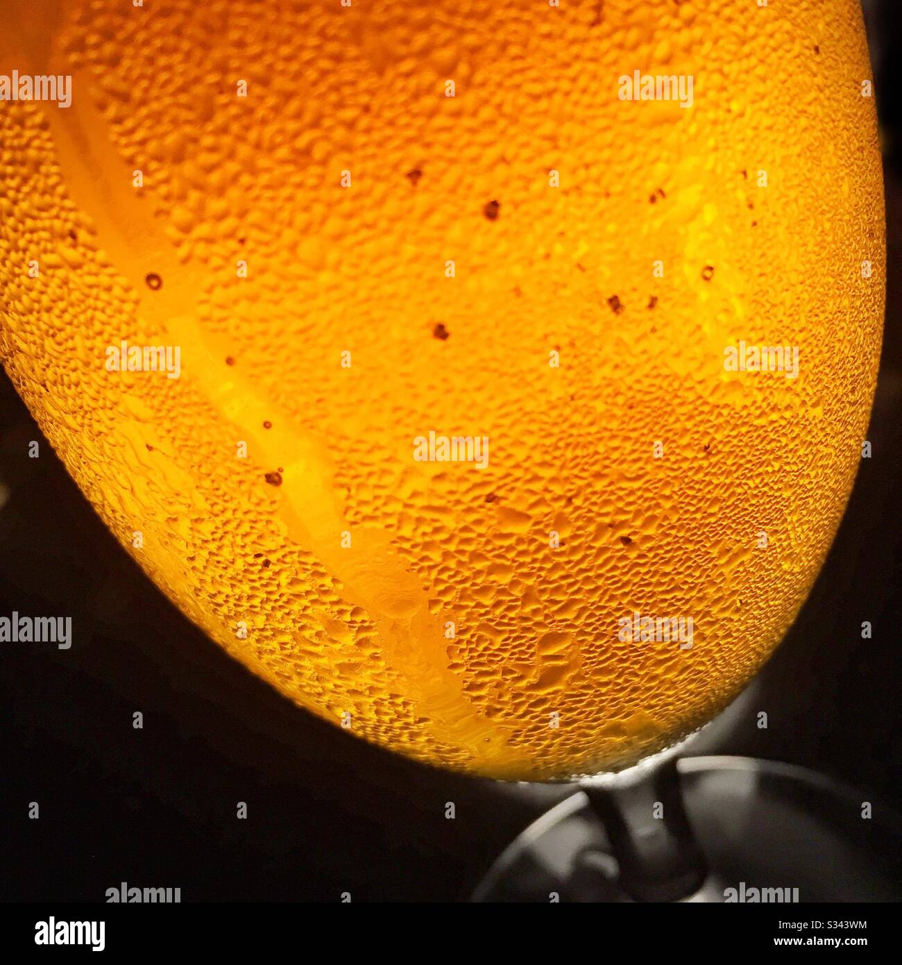 Condensation sur un verre de bière froide Banque D'Images