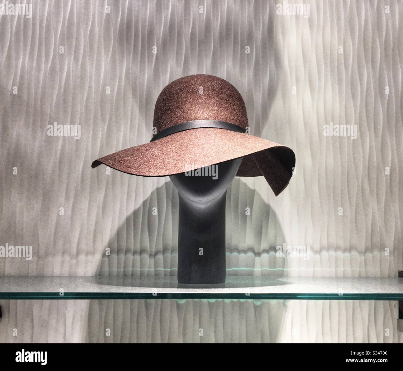 Chapeau de disquette pour femme sur la tête de mannequin sur l'écran en  lumière dure Photo Stock - Alamy