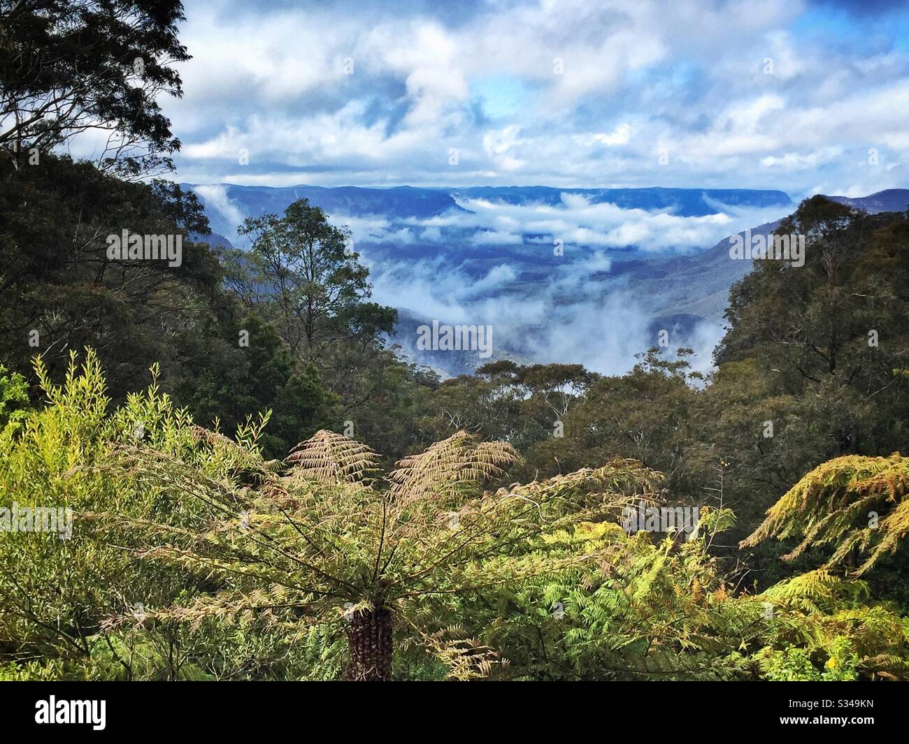 Brouillard matinal au départ de la Jamison Valley, des Blue Mountains, du parc national, Nouvelle-Galles du Sud, Australie - Image de stock capturée avec un smartphone